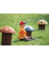 Champignon 64 h arancio