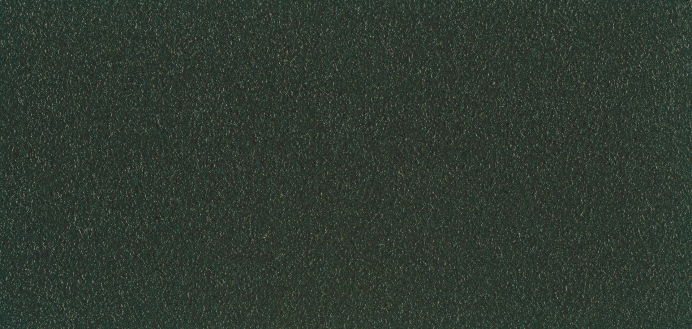 RAL 6009